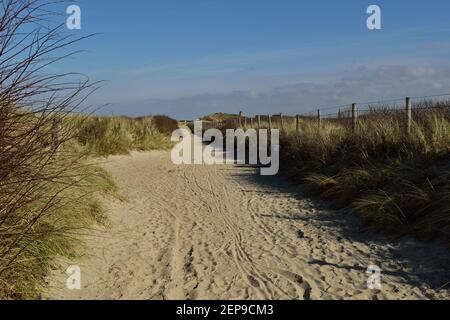 Sentiero di sabbia e sentiero escursionistico attraverso le dune di sabbia sul Mare del Nord a Domburg, Paesi Bassi sotto un cielo blu d'inverno Foto Stock