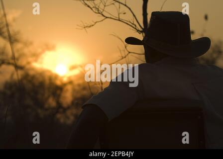 Safari tracker al tramonto Foto Stock