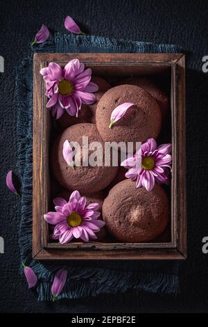 Deliziosi shortpani al cioccolato come croccante e dolce spuntino al buio tabella Foto Stock