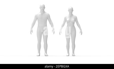 Rendering 3D di una panoramica anatomica uomo e donna in piedi. Foto Stock
