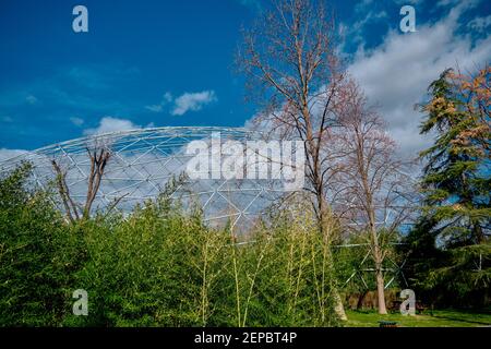 all'interno della grande gabbia dello zoo. albero essiccato, pianta con magnifico cielo blu e nuvole bianche. insieme alla costruzione bianca fatta di bastoni bianchi come cupola. Foto Stock