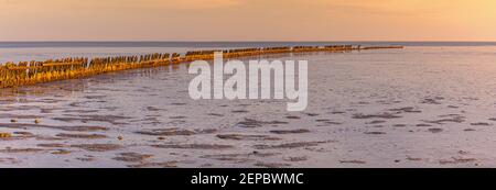 Alba sul mare di Waddensea vicino al villaggio di Wierum in provincia di Frisia. Foto Stock