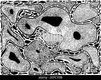 Forme di corallo astratte, linee nere, macchie, isolate su uno sfondo bianco Illustrazione Vettoriale