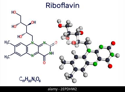 Riboflavina, molecola di vitamina B2. Si tratta di flavina solubile in acqua, si trova nel cibo, utilizzato come integratore alimentare E101. Formula chimica strutturale e Mo Foto Stock