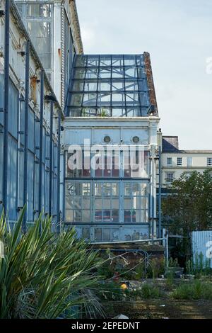 Great Yarmouth Winter Gardens vista laterale da vicino. Vista sul lato dell'edificio a rischio di estinzione di grado II. Foto Stock