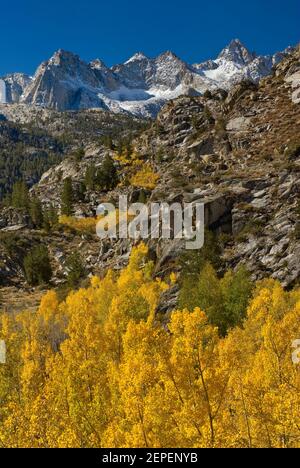 Picture Peak, Monte Haeckel, Monte Wallace, aspens in autunno, Lago Sabrina Bacino in Evolution Regione, John Muir Wilderness, Sierra Nevada, California Foto Stock