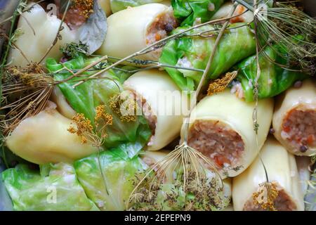 cucina casalinga farcito pepato e involtini di cavolo. guardando sopra. cibo tradizionale ucraino e russo Foto Stock