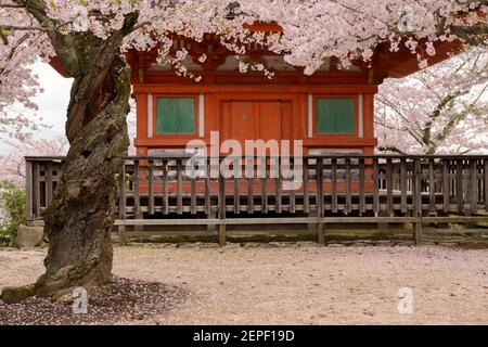 Una Pagoda di Tahoto, parte del santuario di Itsukushima a Miyajima, Giappone. Foto Stock