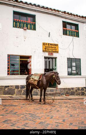 Horse, con contadino colombiano tradizionale poncho, ruana, Hat.500 year old Town.Colonial, Plaza de Bolívar, Tunja, Boyaca, Colombia Andes, America del Sud Foto Stock
