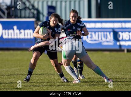 26 febbraio 2021; Heywood Road, sale, Lancashire, Inghilterra; Allianz Premiership 15s donne rugby, vendita squali donne contro Harlequins donne; Scatlett Fielding of sale squali è affrontato Foto Stock