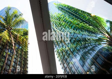 Città verde - doppia esposizione di lussureggiante foresta verde e grattacieli moderni windows Foto Stock