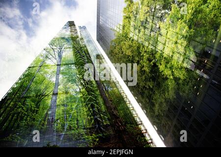 Città verde - doppia esposizione di lussureggiante foresta verde e grattacieli moderni windows Foto Stock