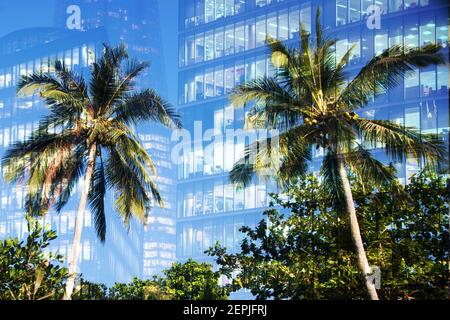 Città verde - doppia esposizione di lussureggiante foresta verde e grattacieli moderni windows Foto Stock