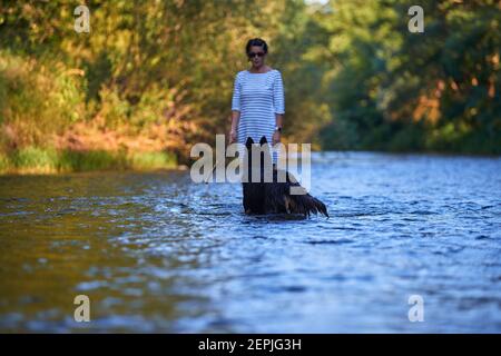 Cane peloso che salta in acqua che spruzzi di un fiume, testa illuminata dal sole su sfondo scuro. Azioni, giochi di formazione con il cane in acqua. Bohémien Foto Stock