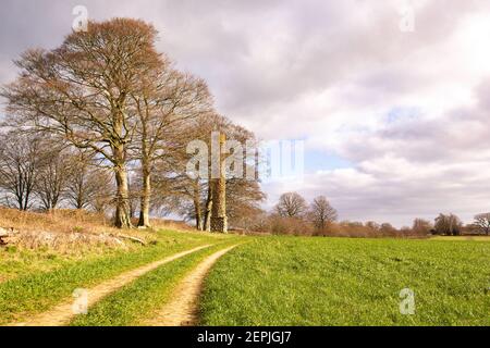 The Fish Tower, Barwick, Somerset, Inghilterra, Regno Unito. Foto Stock