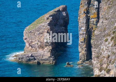 Le scogliere della penisola di Cap Frehel, canale inglese, Bretagna nel nord-ovest della Francia Foto Stock