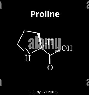 Aminoacido Proline. Formula molecolare chimica Proline amminoacido. Illustrazione vettoriale su sfondo isolato Illustrazione Vettoriale