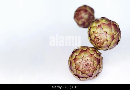 Carciofo fiore, bocciolo commestibile viola isolato su sfondo bianco. Carciofi maturi galleggianti su sfondo bianco. Foto Stock