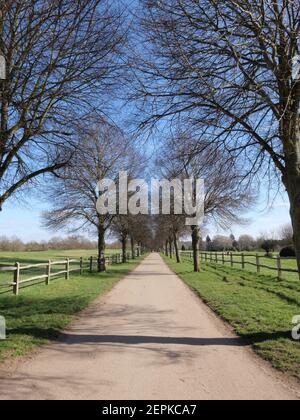 Situato a Denham, il Buckinghamshire Golf Club è un idilliaco campo da golf da campionato a 18 buche e circolo. Il campo da golf è stato progettato dal leggendario capitano della Ryder Cup, John Jacobs, che ha fatto di tutto per trasformare il parco di rotolamento della tenuta in un campo da golf maturo e impegnativo oltre i suoi anni. Il club ha l'onore di essere la casa del tour europeo delle Signore e la testimonianza della qualità del corso che abbiamo ospitato molti eventi professionali precedenti nel corso degli anni. Tra cui la più recente Rose Ladies Series, la Anderson Consulting World Match Play. Foto Stock