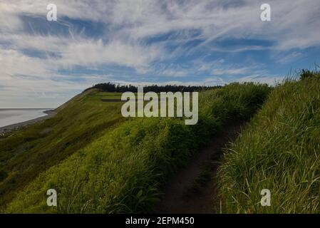 Ebey's Landing, Coupville, Washington. Foto Stock