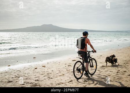 Un uomo in bicicletta sulla spiaggia di Milford con l'isola di Rangitoto in lontananza. Un cane insegue la palla che corre improvvisamente davanti al ciclista. Foto Stock