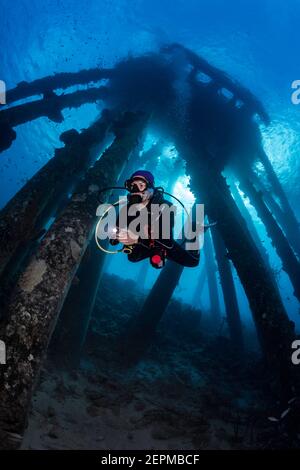 Sub Diver sotto il Molo del sale di Bonaire, Leeward Antille Foto Stock