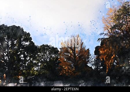 Astratto albero di ramo colorato nella foresta su acquerello illustrazione pittura sfondo. Foto Stock