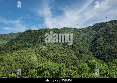 Puerto Galera, Puerto Princesa, Mindoro, isola, Filippine, Asia Foto Stock