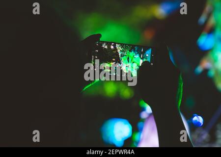 Lublino, Polonia - 1 giugno 2019: Decorazioni artistiche illuminate di pesci a Zaułek Hartwigów durante la notte della cultura (NOC Kultury) nella città vecchia Foto Stock