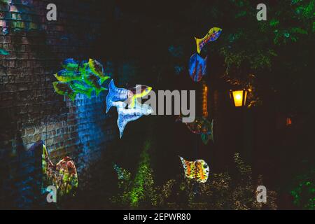 Lublino, Polonia - 1 giugno 2019: Decorazioni artistiche illuminate di pesci a Zaułek Hartwigów durante la notte della cultura (NOC Kultury) nella città vecchia Foto Stock