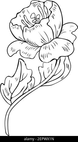 Illustrazione vettoriale in bianco e nero di un fiore astratto in fiore. Disegno del fiore. Illustrazione Vettoriale