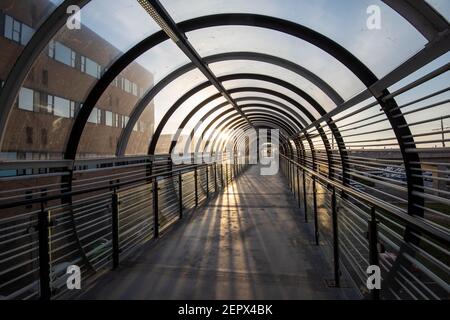 Luce mattutina sul ponte del tram Sir Peter Mansfield presso il Queens Medical Center (QMC) a Nottingham, Nottinghamshire, Inghilterra, Regno Unito Foto Stock