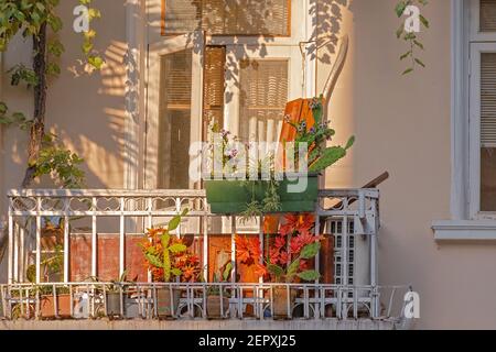 Piccolo balcone d'epoca con piante di cactus in una vecchia casa, illuminato dal sole. Batumi, Georgia. Foto Stock