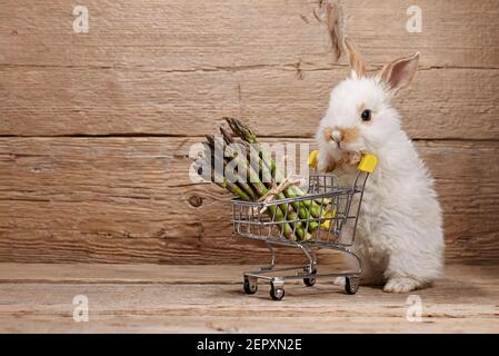Coniglio carino con basket di asparagi, concetto di cibo sano Foto Stock