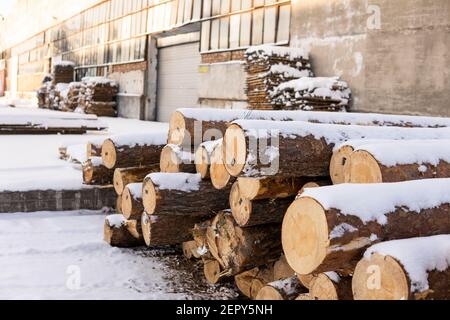 Un mucchio di tronchi su una segheria sotto lo strato di neve nella stagione invernale. Foto Stock