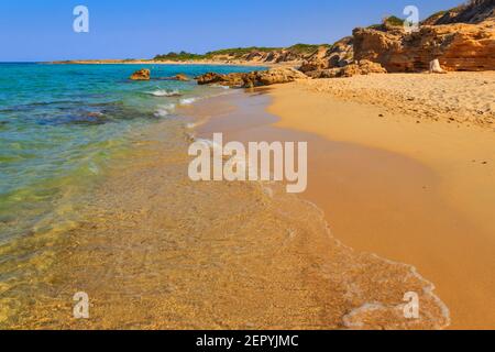 Riserva Naturale Torre Guaceto: Vista sulla spiaggia di sabbia e sulle dune di Puglia, Italia. Macchia mediterranea: Un santuario naturale tra terra e mare. Foto Stock