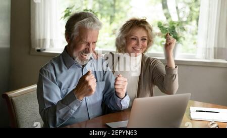 Felice coppia matura entusiasta che festeggia il successo, guardando lo schermo del notebook Foto Stock
