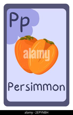Scheda flash colorata abc Education, lettera P - persimmon. Illustrazione vettoriale dell'alfabeto con cibo, frutta e verdura. Scuola, studio, apprendimento. Illustrazione Vettoriale