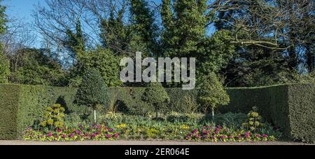 Letto floreale in siepe alcova Queen Mary's Gardens Regents Park Londra, Inghilterra Foto Stock