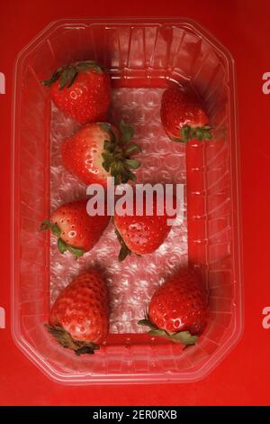 contenitore di plastica supermercato con poche fragole Foto Stock