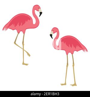 Figura vettoriale fenicottero rosa. Uccello esotico. Elegante elemento decorativo flamingo dal design piatto. Illustrazione Vettoriale