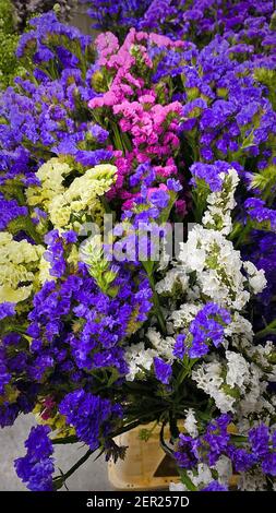 Bouquet di statite. Concetto di business floreale. Sfondo floreale luminoso. Formato banner WEB verticale Foto Stock