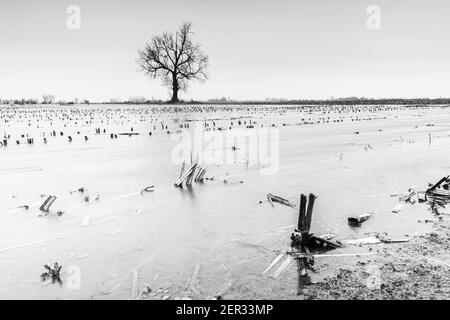 Alto livello d'acqua con vegetazione arida invernale che raggiunge sopra il fiume. Foto Stock