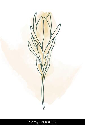 Moderni modelli d'arte universale. Adatto per biglietti d'auguri, biglietti per le vacanze, biglietti aziendali e inviti. Disegno astratto. Illustrazione vettoriale. Doo Illustrazione Vettoriale