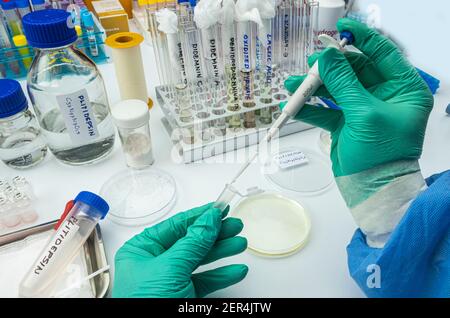 Scienziato che lavora in laboratorio con composto chimico di plitidepsin antivirale, questa formulazione ha un'efficacia antivirale molto più potente contro SARS-COV-2 Foto Stock