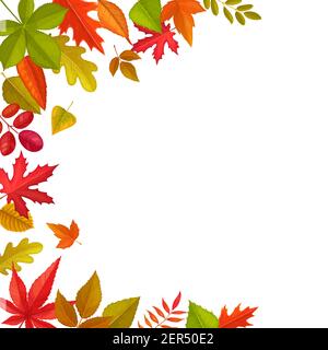 Telaio di foglie caduti, vettore autunno fogliame di acero, quercia e castagno, rowan con olmo. Cartoon confine con autunno stagione foglie di albero su bianco backgro Illustrazione Vettoriale