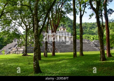 Il palazzo a Palenque, una città di Maya stato nel sud del Messico e un sito patrimonio dell'umanità dell'UNESCO Foto Stock