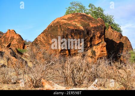 paesaggio del parco nazionale tsavo est Foto Stock