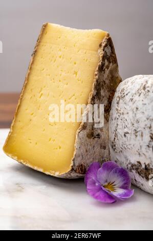 Collezione di formaggi, Tomo de Savoie della regione Savoia nelle Alpi francesi, latte di vacca dolce con interno beige e spessa cotenna bruno-grigio c Foto Stock