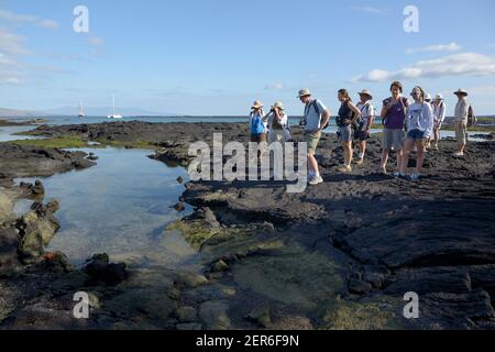 I turisti che osservano la fauna selvatica a Punta Espinosa, l'isola di Fernandina, le isole Galapagos, Ecuador Foto Stock